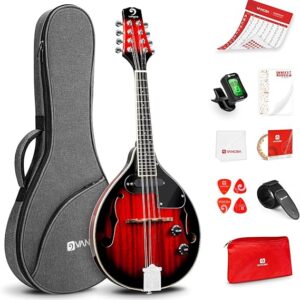 Mandolin Musical Instrument A Style Acoustic Electric
