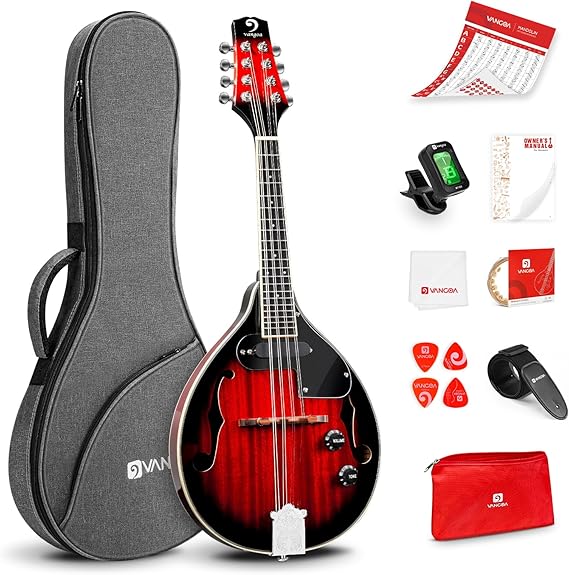 Mandolin Musical Instrument A Style Acoustic Electric